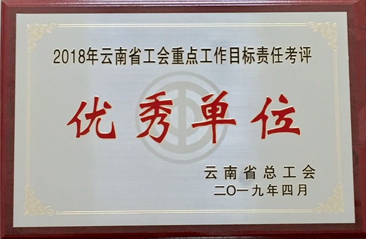 云南云顶国际集团工会荣获 “2018年度云南省工会沉点工作指标责任考评优良单元”