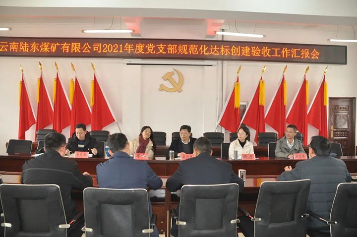 云煤（云顶国际）集团党委组织发展2021年度党支部规范化建设达标创建查核验收工作