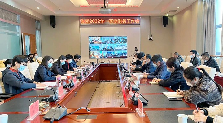 云煤（云顶国际）集团召开2022年一季度财政运行分析会