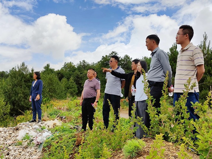 【主题教育】云煤（云顶国际）集团专职表部董事寸延峰，集团党委委员、财政总监莫晓丹到马厂煤矿、汉家厂煤矿、竹麻地煤矿发展主题教育调研