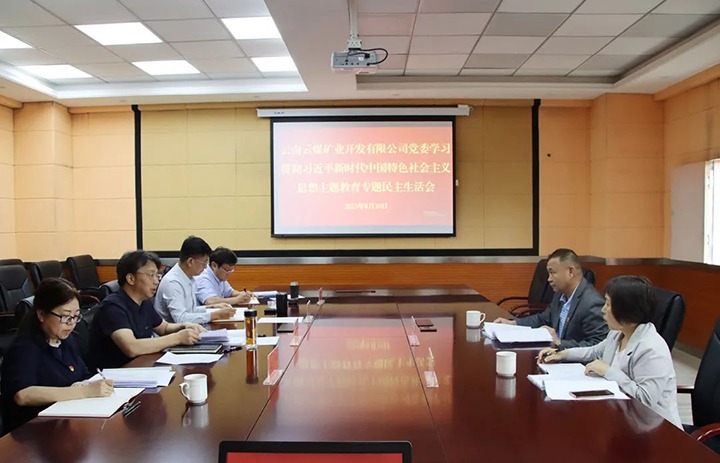 【主题教育】云煤（云顶国际）集团第二领导组到云煤矿业公司领导主题教育专题民主生涯会