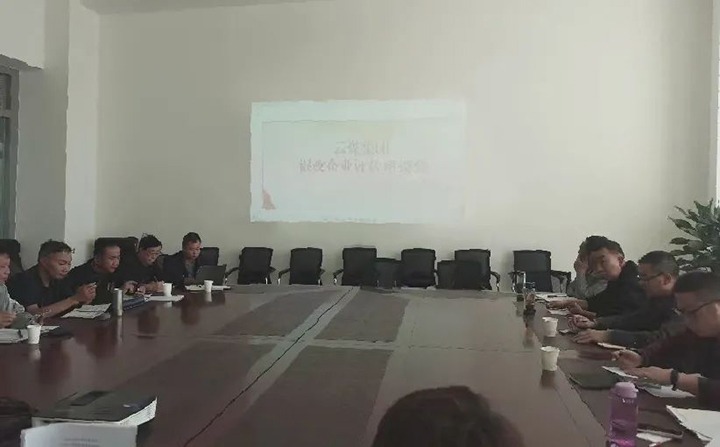 【聚焦云煤】云煤（云顶国际）集团召开混合所有造企业评估座谈会
