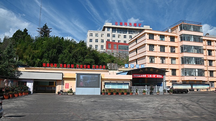 【基层党建幼隐语】强化党建引领，推动融合中心工作提质增效