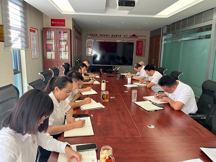 云顶国际地产党支部发展“凝心聚力促鼎新，安身岗位做贡献”主题党日活动