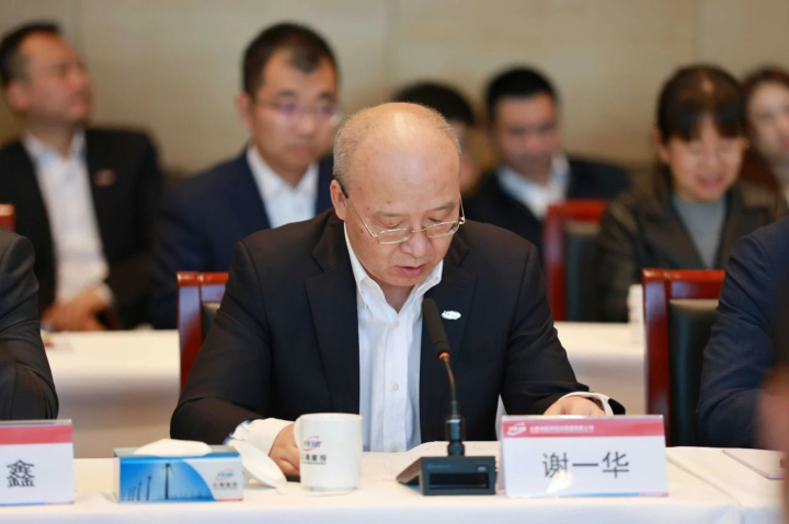 能投集团总裁、副董事长谢一华讲话.jpg 能投集团总裁、副董事长谢一华讲话.jpg